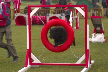 Agility